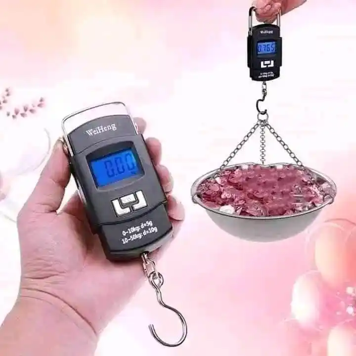 Portable electronic scale