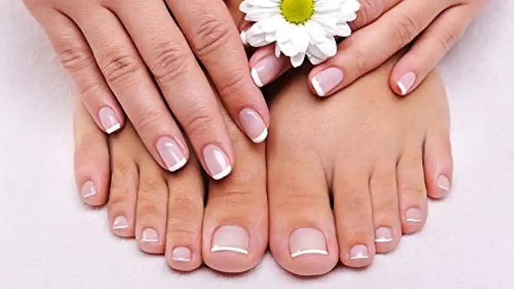 18 Pcs Handheld Pedi Mate