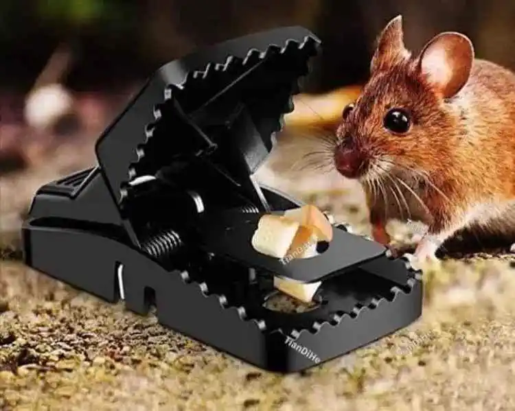 Super Powerful Mouse Trap Rat Trap